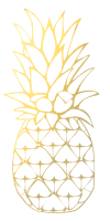 dessin ananas